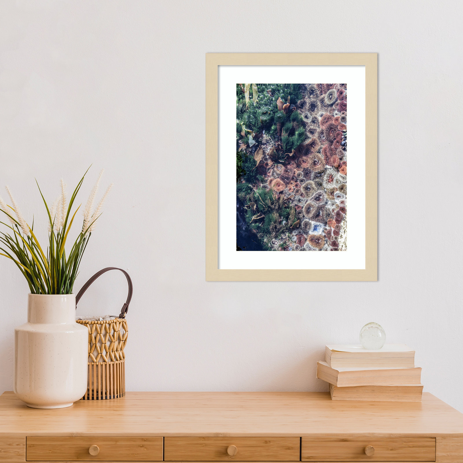 Ocean Curiosities by Shot by Clint Wood Framed Wall Art Print, Brown, 17" H x 13" W