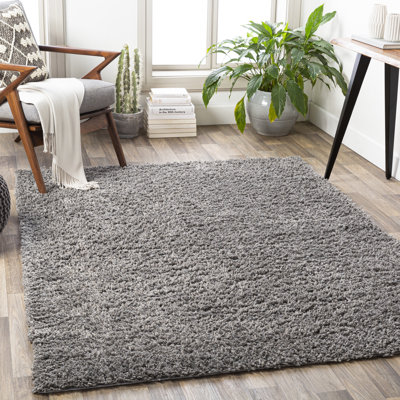 Beahm Indoor Rug