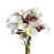 Blanc / Mauve est en rupture de stock