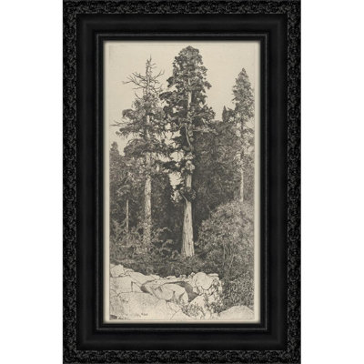 Baby Sequoia (1915)