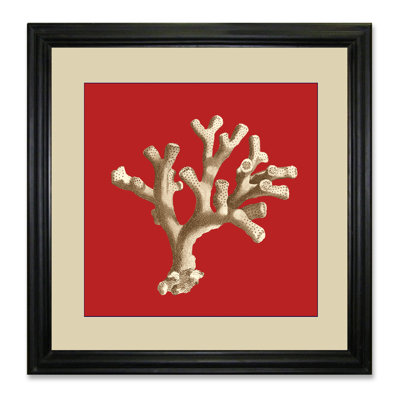 Coral On Red II - Single Picture Frame Print
