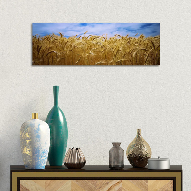 Wheat Crop Growing In A Field, Palouse Country, Washington State, USA - Wrapped Canvas Panoramic Print