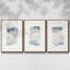 French Owls IV, ensemble de 3 toiles encadrées sur toile-97794878-97794879