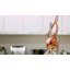 Citrus Juicer-78234710