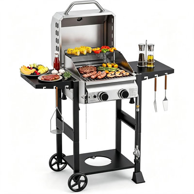 COWSAR Stainless steel and Black 2 -Burner Liquid Propane Gas Grill