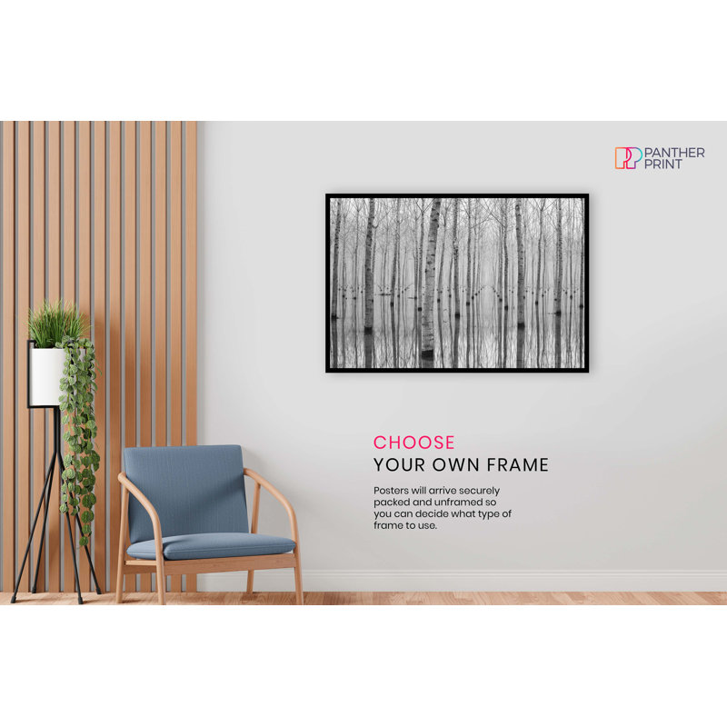 Birch Trees In November - Wrapped Canvas Print, Paper, 31cm H x 46cm W
