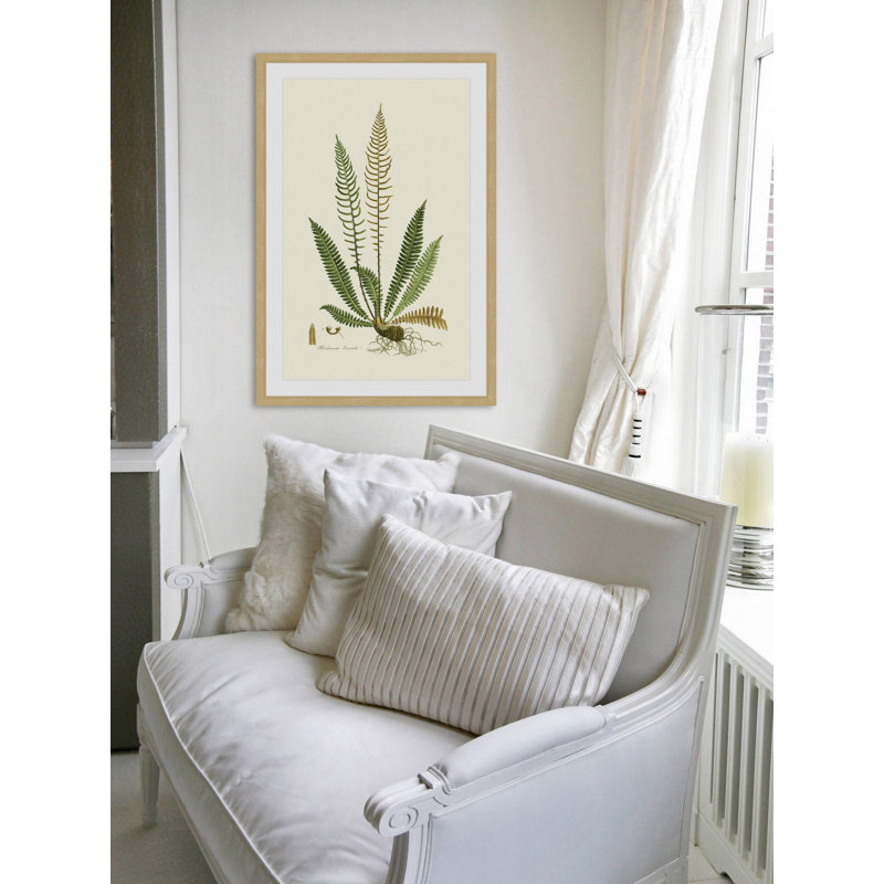 «Curtis Ferns III», reproduction encadrée, H 18 po x l 12 po x P 1,5 po