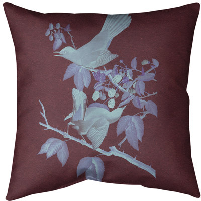 Cat Bird Euro Pillow Cover
