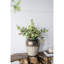 Vase rond en céramique brun Sienna-1846863943