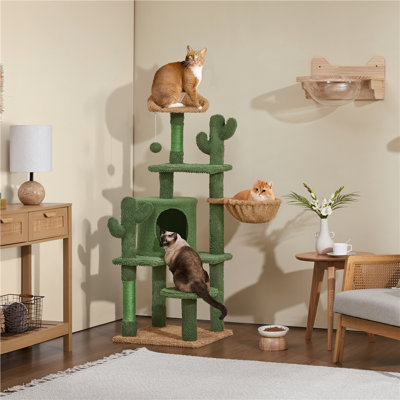 Burnley 53''H Cat Cactus Tree Condo Kitten Tree Tower