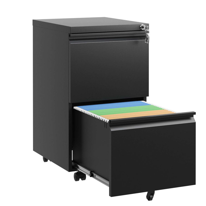 Palvinder Metal Rolling File Cabinet With 2 Drawers And Lock - Holds Legal/Letter/A4 Docs, Fully Assembled Black Office Accessory Lockable Fits Files, Addition