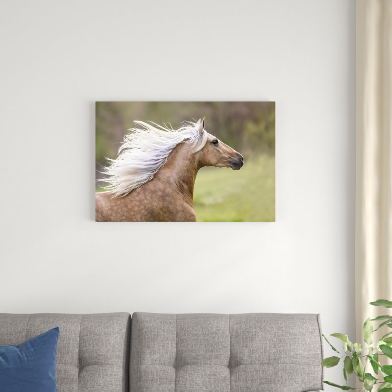 Cheval dans le champ III, H 20 po x l 30 po x P 1,25 po