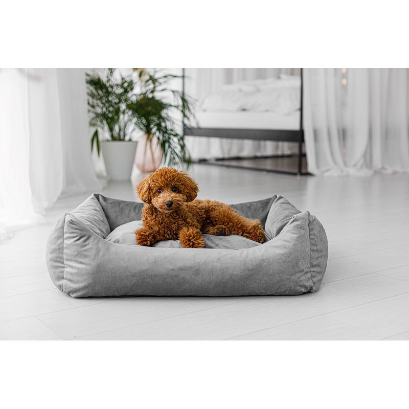 Stetson Pet Bed, 22cm H x 92cm W x 71cm D, Grey, Extra Large