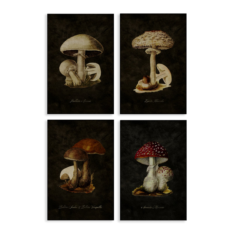  Ensemble d'art mural sur toile 4 pièces Mushroom Genus Study par Tina Higgins Designs, Inc., H 30 po x l 20 po