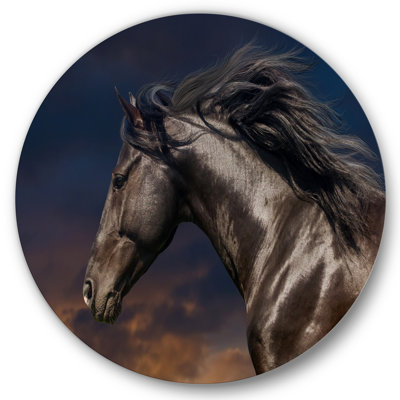 Portrait Of Thoroughbred Nonius Stallion Horse III - Unframed Photograph on Metal