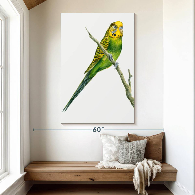 Brampt Perched Budgerigar, 51" H x 34" W