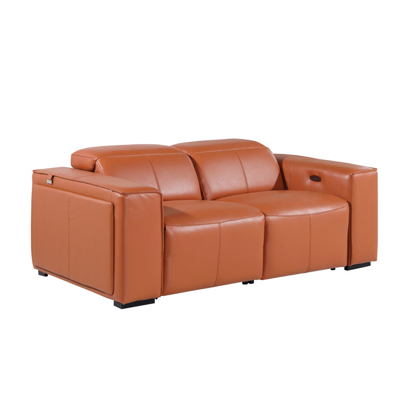 Top Grain Italian Leather Modular Power Dual Reclining Loveseat With Power Headrests, Camel