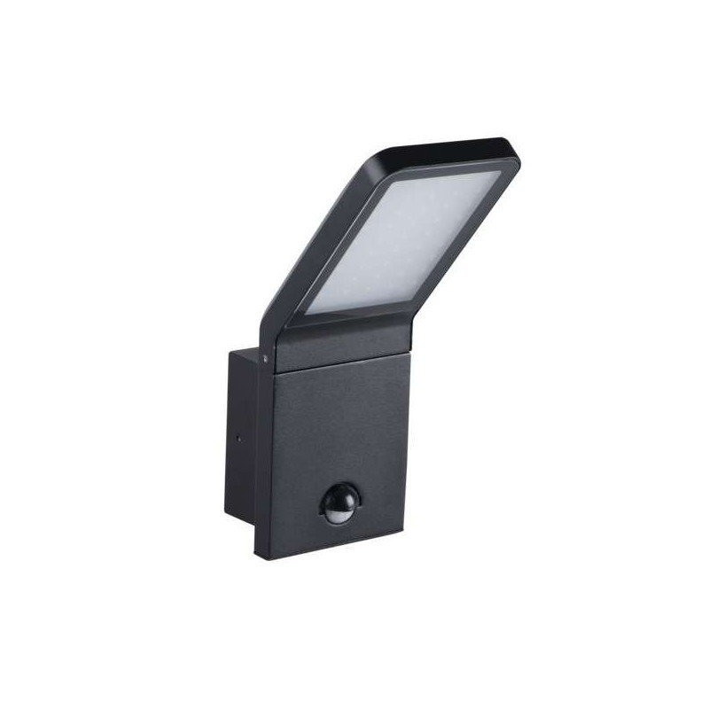 Braidan LED Black Wall Spotlight