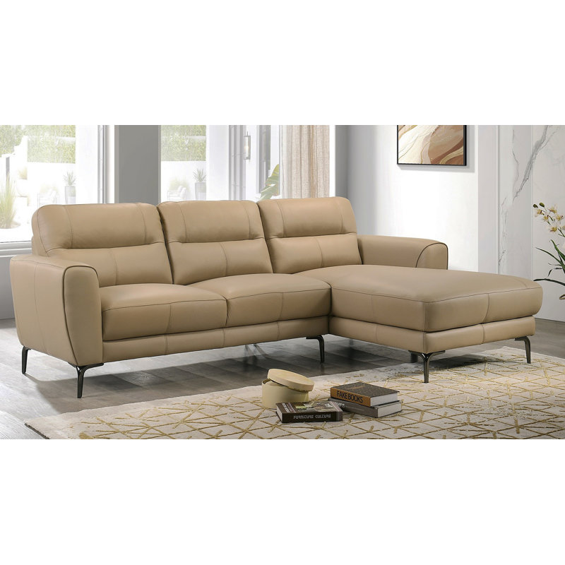 Ensemble de canapé modulaire en cuir taupe 2 pièces