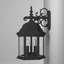 Castellanos Wall Light