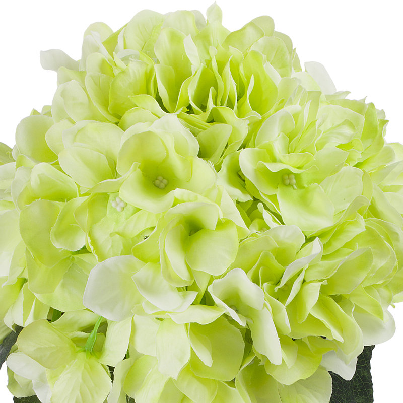 Arrangement floral d'hortensias dans un vase, Vert