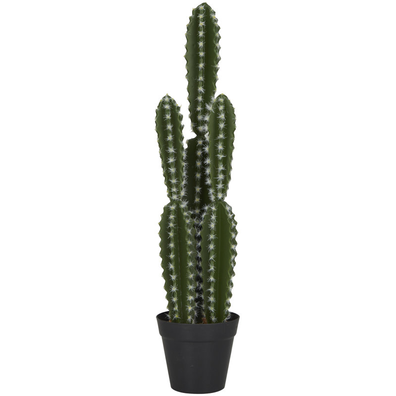 Feuillage artificiel floral et botanique Cole and Gray