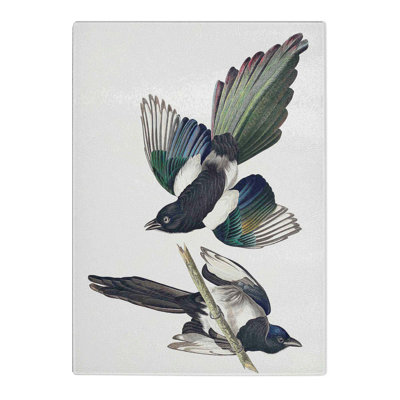 Tempered Glass American Magpie Chopping Board