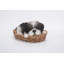 Statue chiot panier en osier Shih Tzu