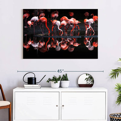 Flamant rose