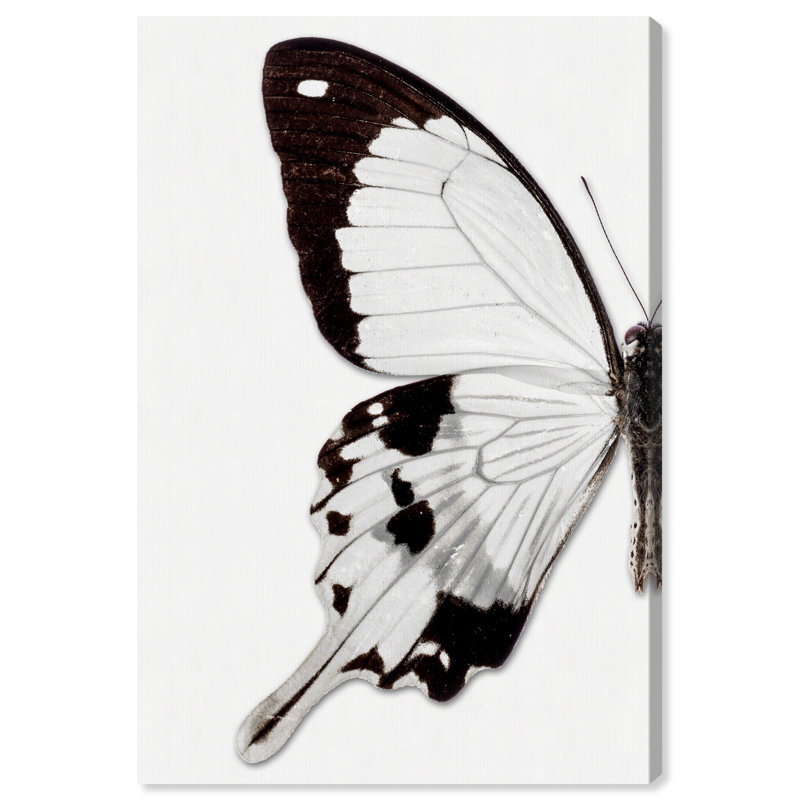Papillon monochrome I - photographie sur toile, H 54 po x l 36 po