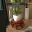 Fishbowl Stand-2098407283