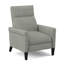 Recliner-119895290-119895431