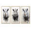 Mighty Stampede Rhinoceros - Ensemble de 3 impressions sur toile Rhinoceros-1994125012-1994125009