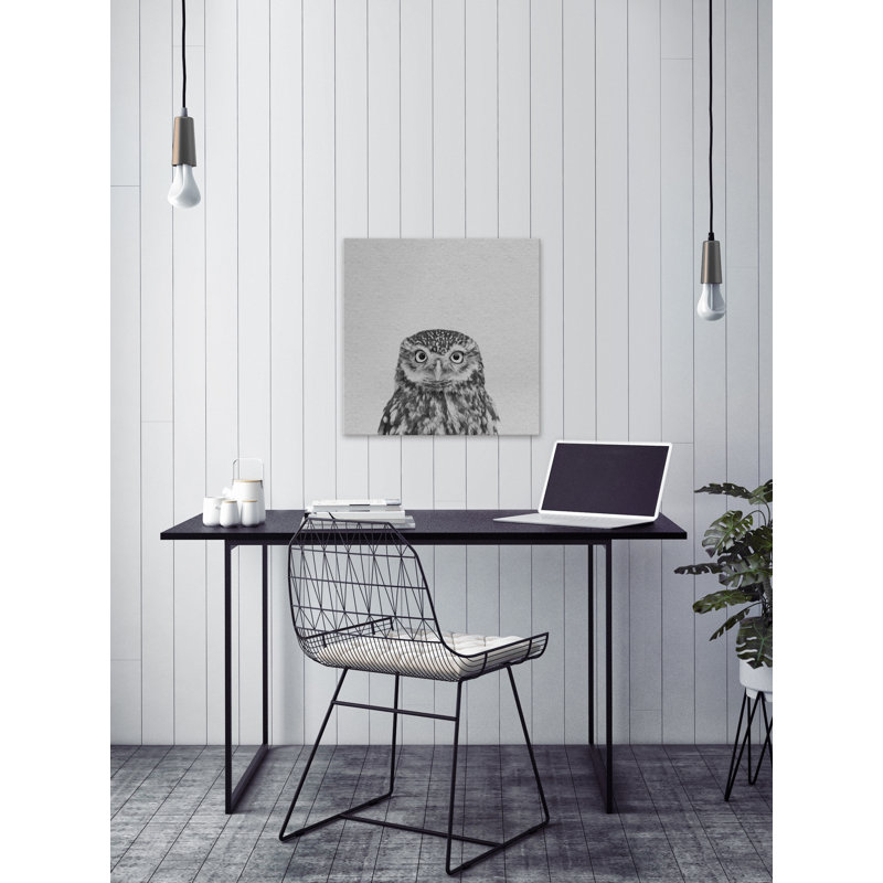 Black and White Owl - Drawing on Canvas, 101cm H x 101cm W