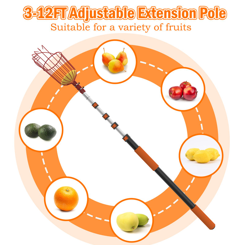 Cueilleur de fruits SISIUPASSIE 20FT