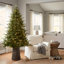 Sapin de Fraser Jasper Elite avec DEL