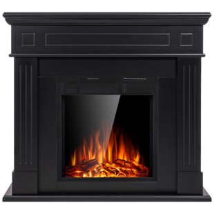 Canora Grey Aviel 23.62'' W Electric Stove