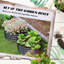 Planter Box