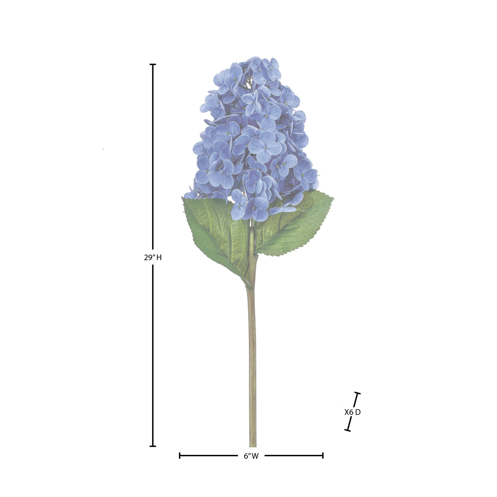 Cone Hydrangea Stems, Black