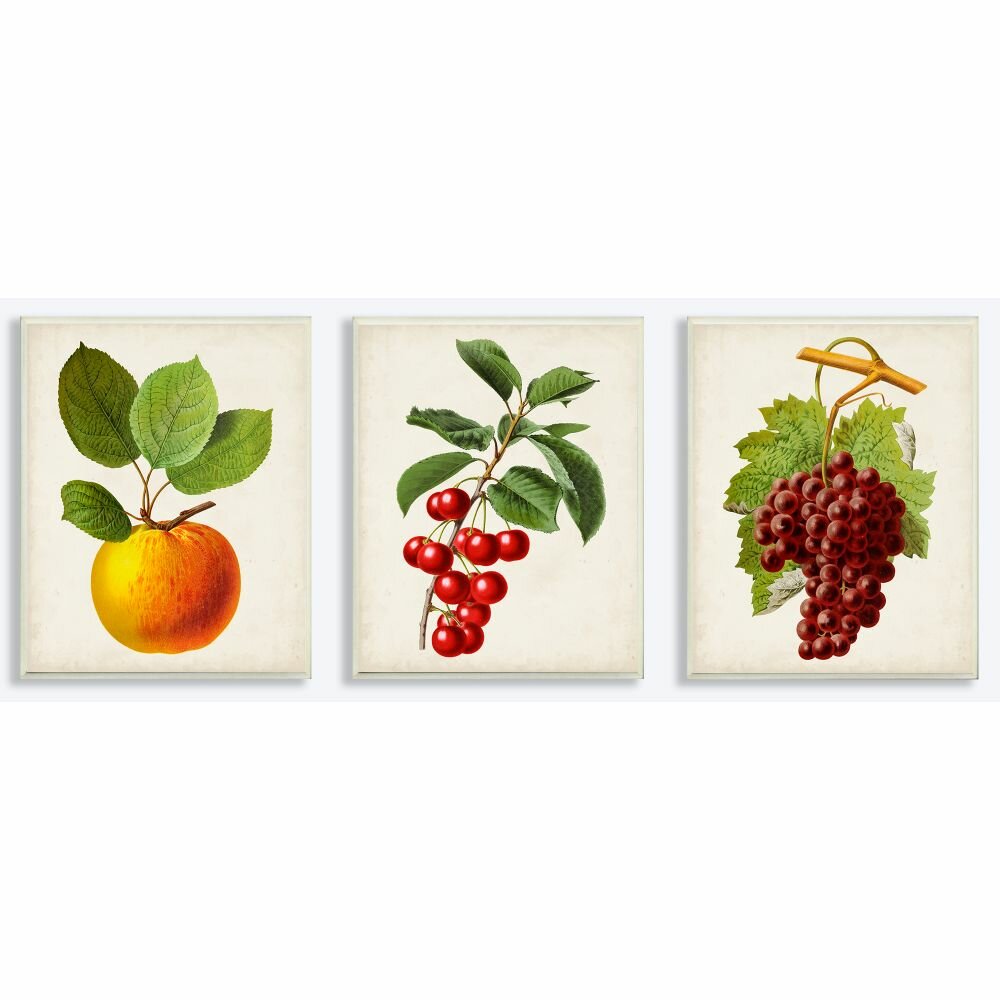 https://assets.wfcdn.com/im/79906703/compr-r85/9746/97463525/vintage-fruits-food-kitchen-dining-room-painting-design-on-canvas-3-pieces-print.jpg