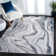 Aimon Abstract Area Rug