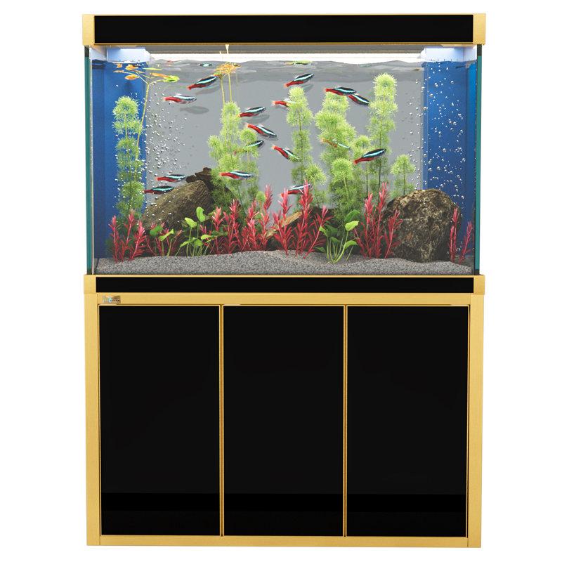 Réservoir d'aquarium rectangulaire, Noir et or, 175 gallons (H 61 po x l 59 po x P 19,7 po)