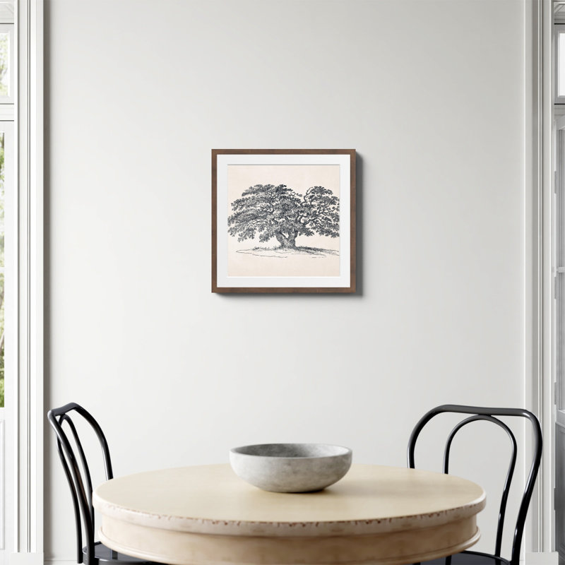 «Wide Oak Tree S Croquis» par Apolo, Oui, H 20 po x l 20 po, Papier avec cadre photo noyer