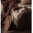 Table d'appoint Lycus-785673966