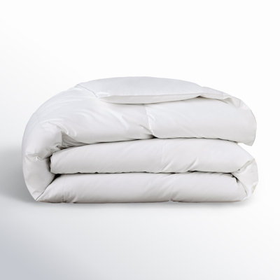 Terron Down Extra Plush Duvet Insert