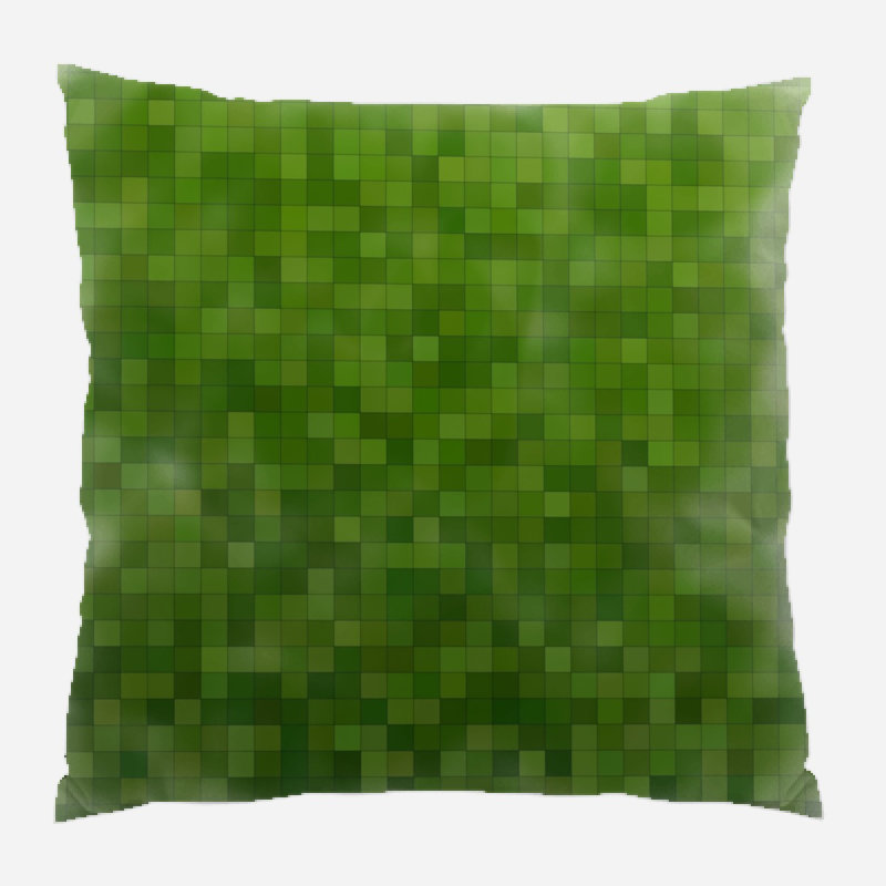 Coussin décoratif