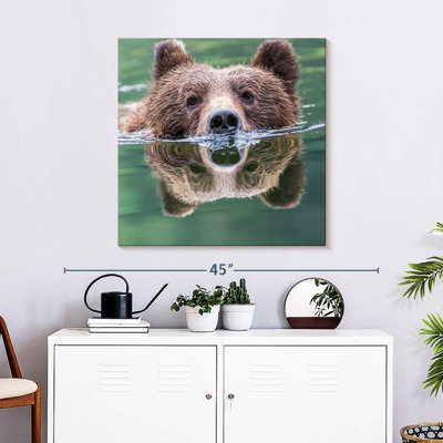 Brampt Grizzly Bear Swimming Reflection