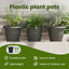 Planter-471815545-471815546