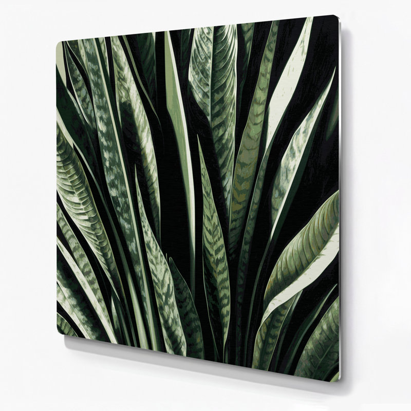 Art mural en métal Botanical Snake Plant, H 144 po x l 144 po x P 0,05 po