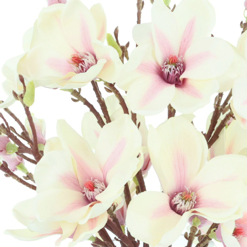 Magnolia Arrangement, Pink/Cream